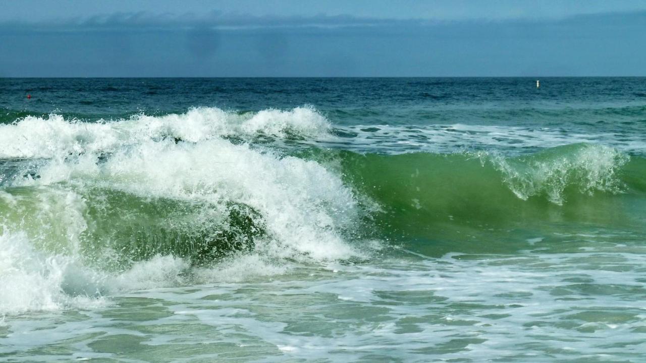 Pelican Pointe 2A クリアウォーター・ビーチ エクステリア 写真